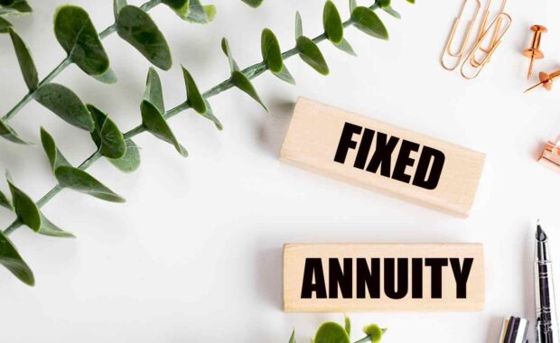 Fixed Annuity Written on Wooden Blocks with Green Leaves