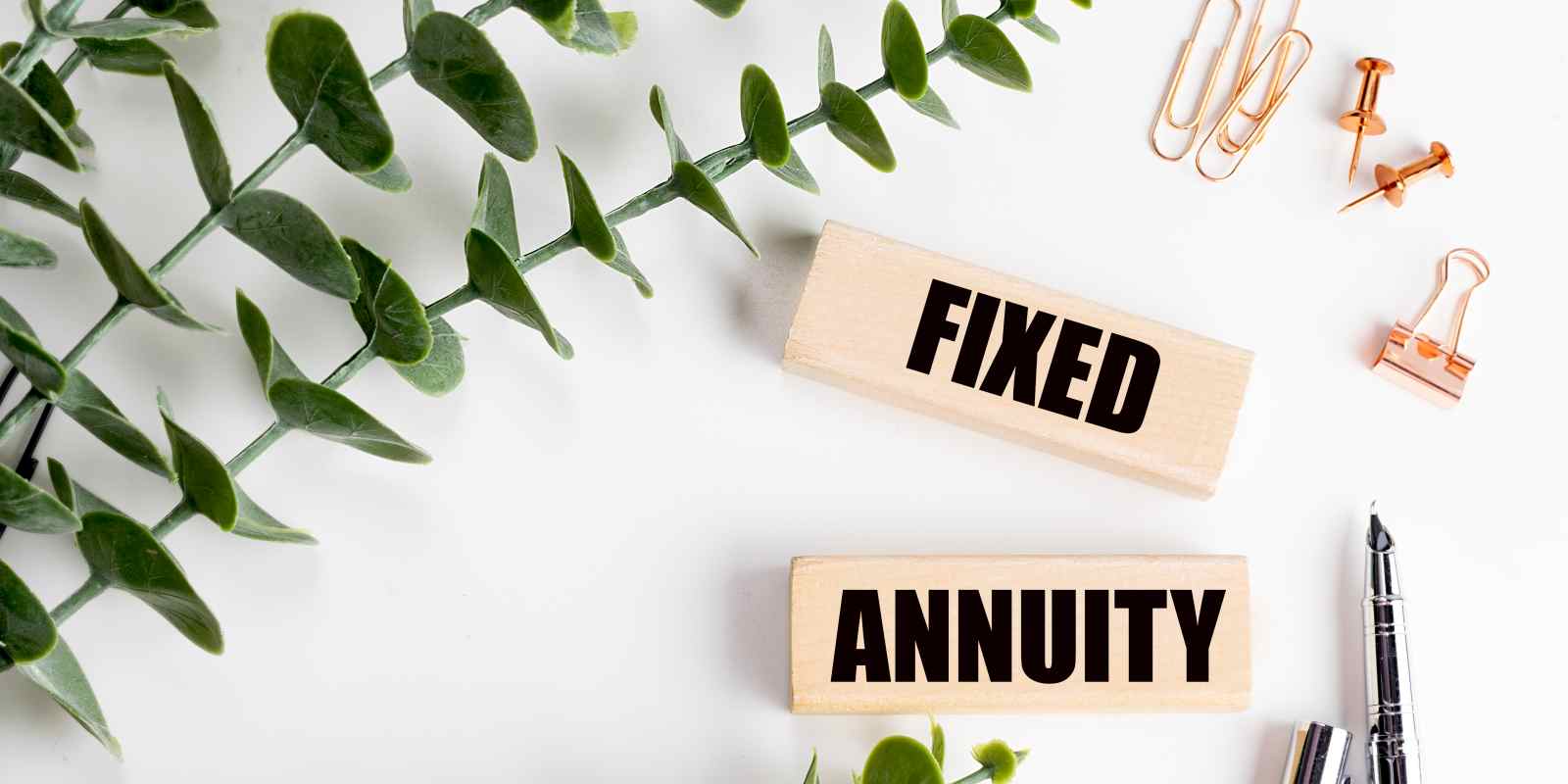 Fixed Annuity Written on Wooden Blocks with Green Leaves